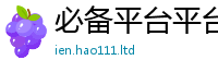 2025精准资料大全免费由王中王493333特马王中王